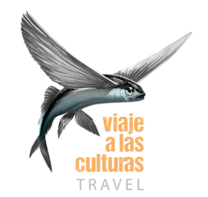 logo_footer_viaje_a_las_culturas